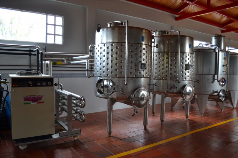 cave-ST BLAISE-min_wine_production_cantine_winery_drink_alcohol_vine_beverage-902036